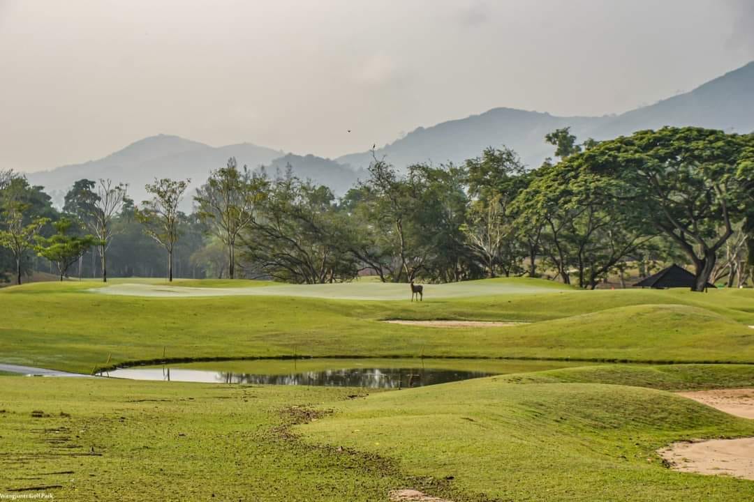 Wangjuntr golf park