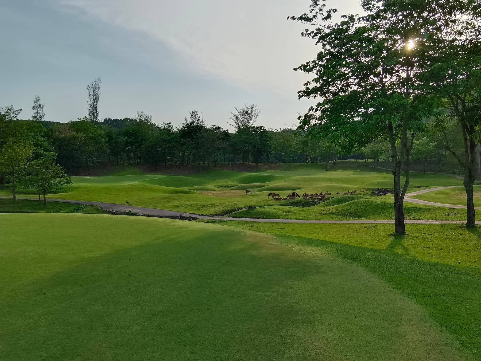 Wangjuntr golf park