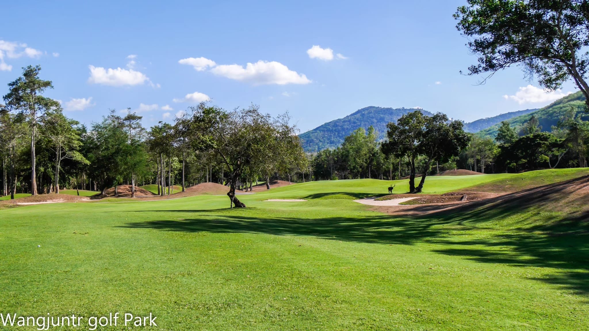 Wangjuntr golf park