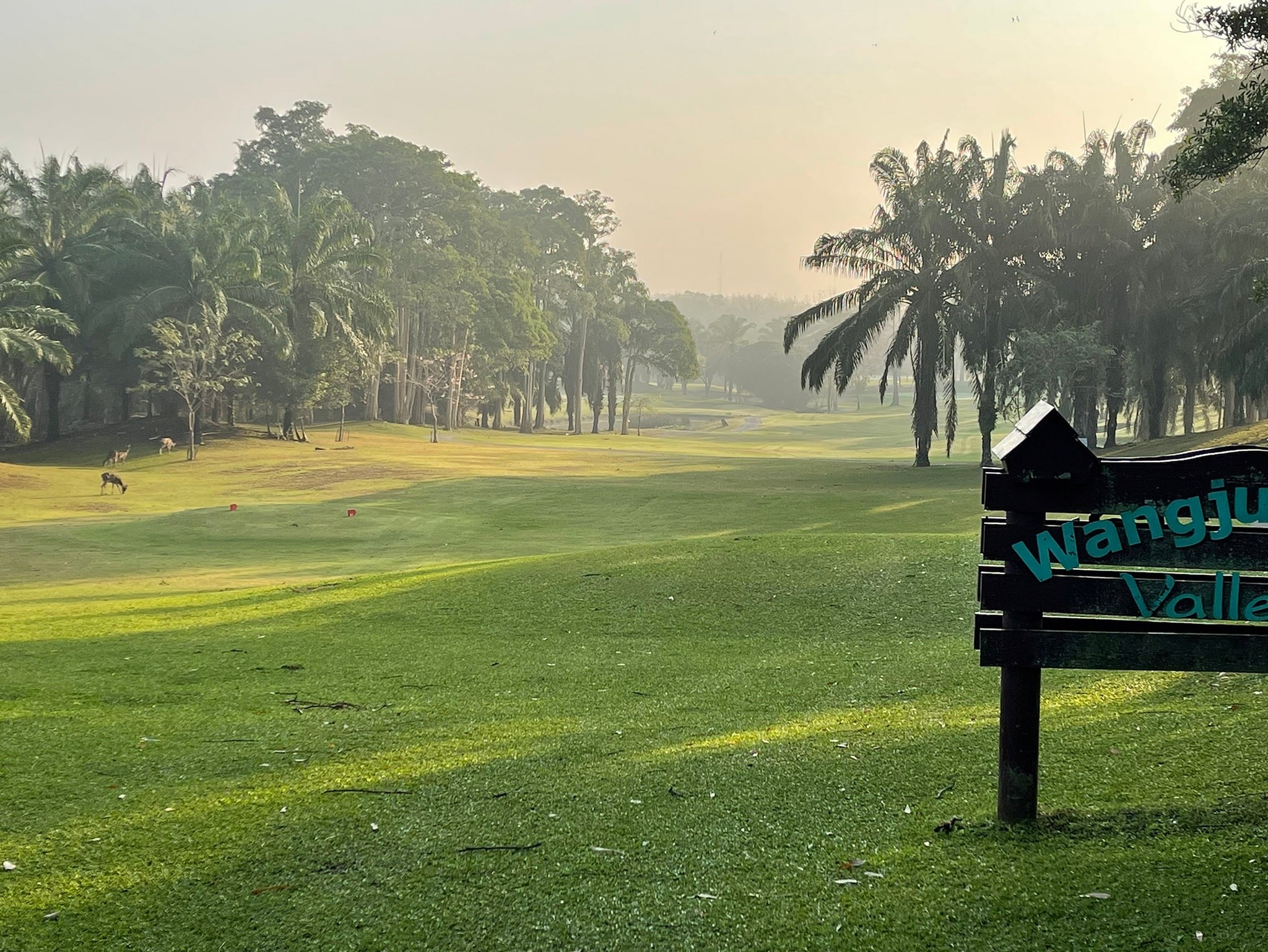 Wangjuntr golf park