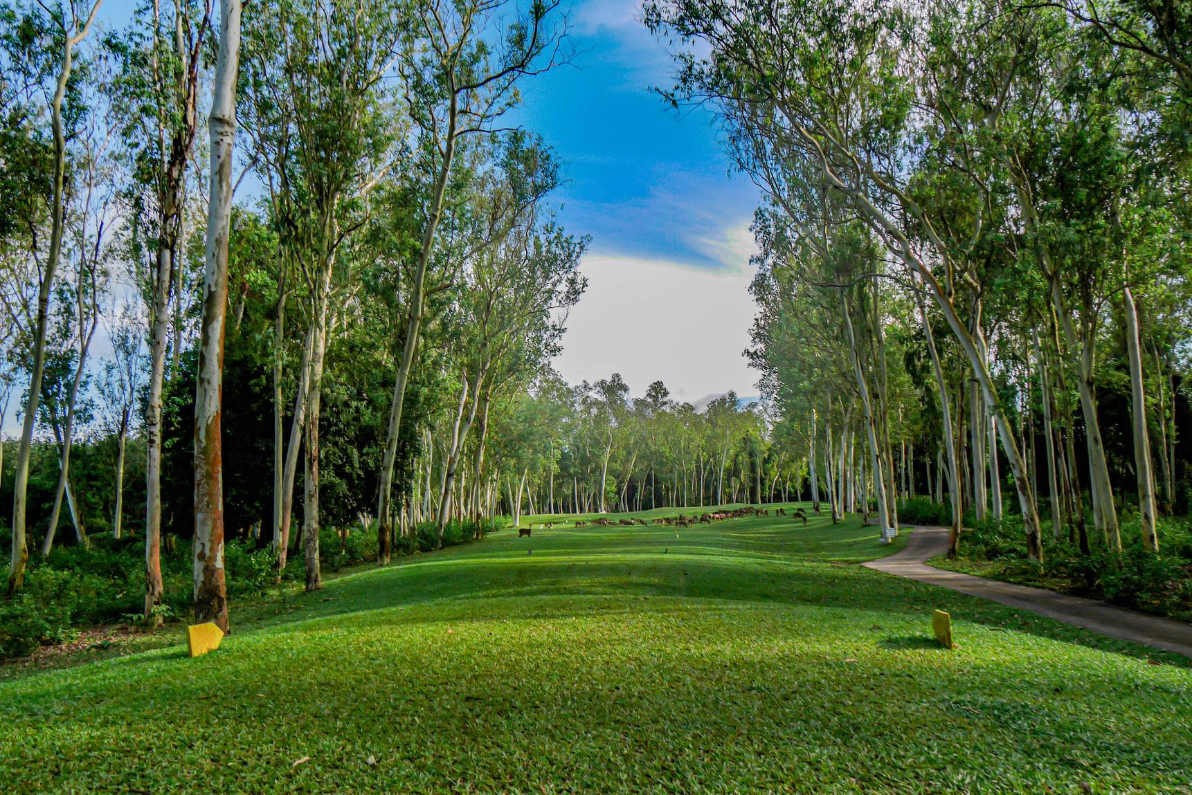 Wangjuntr golf park